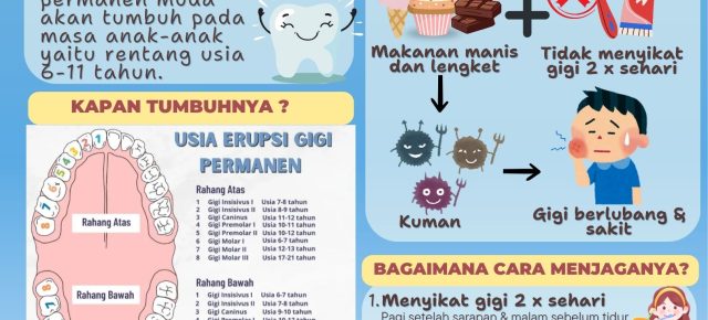 Edukasi Pengenalan Gigi Permanen Muda, by : drg. Yulia Handayani Siregar